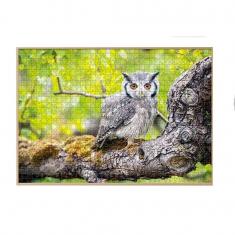 Puzzle 1000 Teile: Wilde Eule