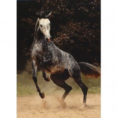 1000 pieces Jigsaw Puzzle - Horses: Speckled horse