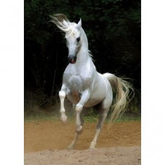 1000 pieces Jigsaw Puzzle - Horses: White horse