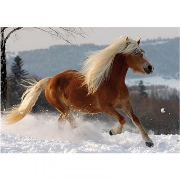 239 pieces Puzzle - Horse Magic: Haflinger Horse II - DToys-65933HH02