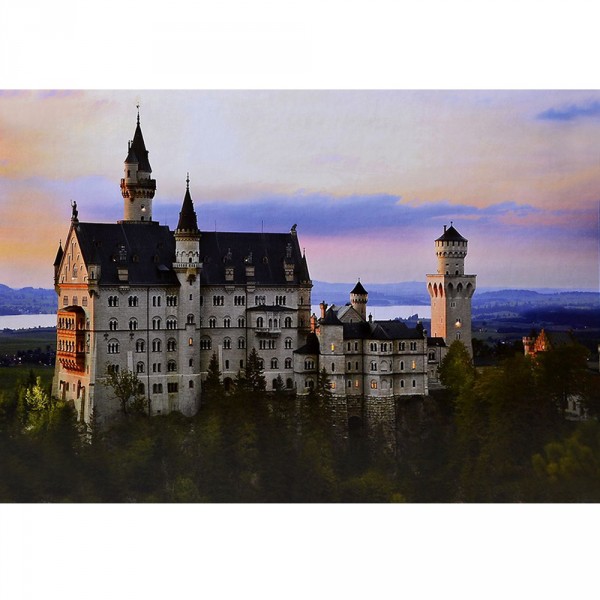 Puzzle 1000 pièces - Paysages nocturnes : Château de Neuschwanstein, Allemagne - Dtoys-64301NL07
