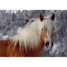 Puzzle 239 pièces - Magie des chevaux : Cheval Haflinger I