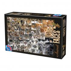 1000 Teile Puzzle: Tiergesichter: Katze 