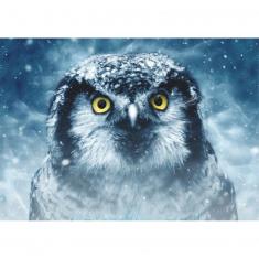 1000 pieces puzzle: Animals: Owls 