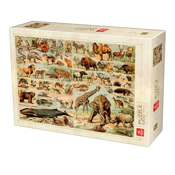 1000 pieces puzzle: Encyclopedia: Wild Animals  - Dtoys-76793