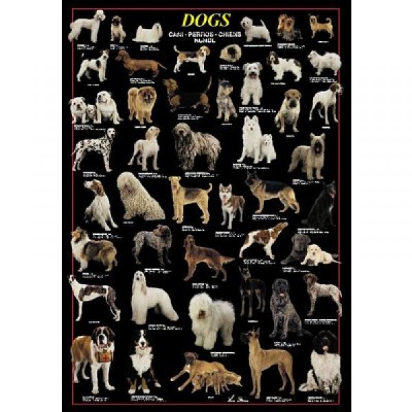 Puzzle 1000 pièces - Les chiens - Ricordi-58036