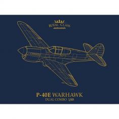 Flugzeugbausatz: P-40E Warhawk Eduard Royal Class
