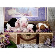 500 piece puzzle: Puppies