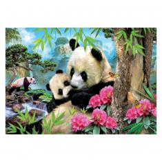 1000 pieces PUZZLE: PANDAS