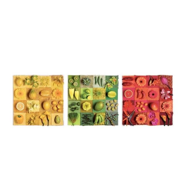 PUZZLE 3X500 PIECES :  ANDREA TILK "FRUITS AND FLOWERS" - Educa-18454
