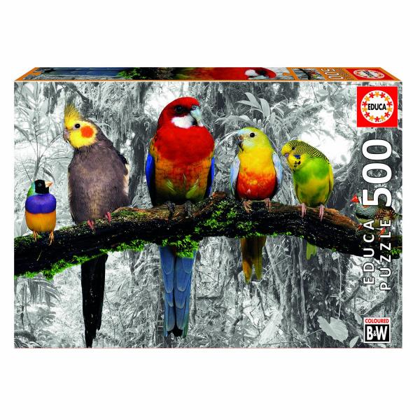 500 pieces PUZZLE: BIRDS IN THE JUNGLE - Educa-17984