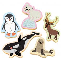 Baby Puzzles: Ice floe animals