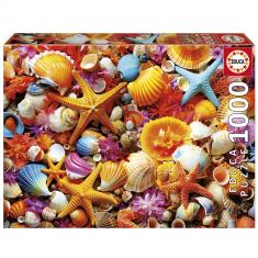 Puzzle de 1000 piezas: COLLAGE DE CONCHAS