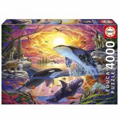 4000 piece puzzle: ORCAS AND WOLVES
