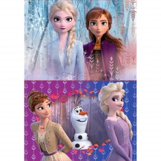 Puzzle 2 x 20 pièces : La Reine des Neiges 2 (Frozen 2)
