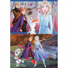 2 x 48 pieces puzzle: Frozen 2