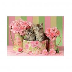 500 pieces puzzle: Kittens with roses