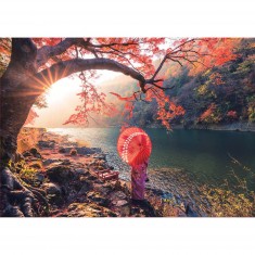 Puzzle de 1000 piezas: Amanecer en el río Katsura, Japón