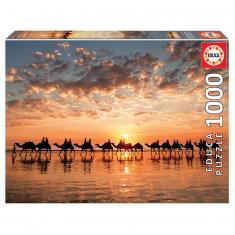 1000 pieces puzzle: Sunset in Australia