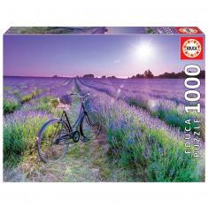 1000 Teile Puzzle : Fahrrad im Lavendelfeld