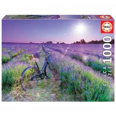 Puzzle 1000 pièces : Vélo dans le champ de lavande