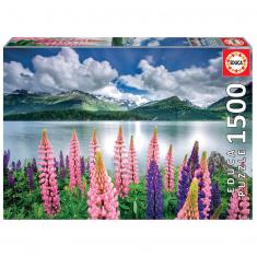 Puzzle de 1500 pièces : Paysage Photo