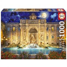 Puzzle de 1000 piezas: Fontana Di Trevi, Roma