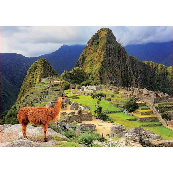 1000 pieces puzzle: Machu Picchu, Peru - Educa-17999