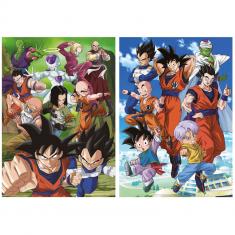 Puzzle 2 x 500 pièces : Dragon Ball