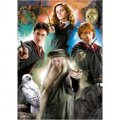 500-teiliges Puzzle: Harry Potter
