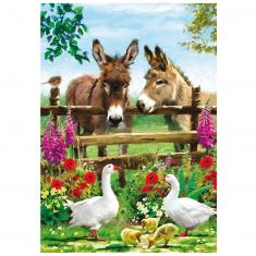 500 piece puzzle : Donkeys