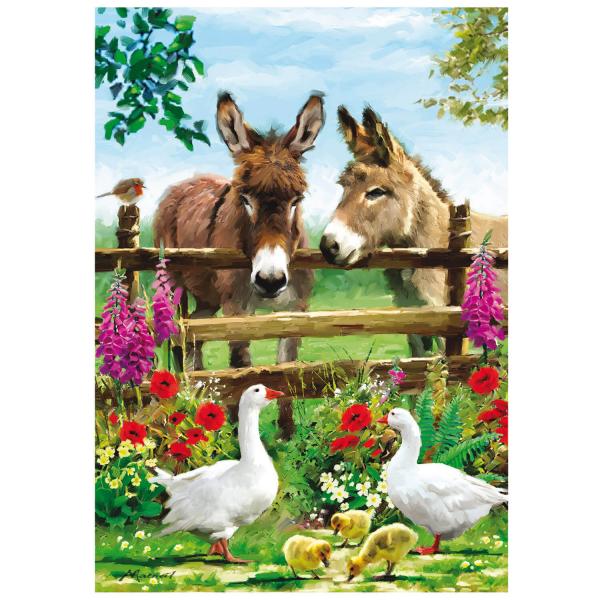 500 piece puzzle : Donkeys - Educa-19553