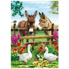 Ravensburger Puzzle 500 Pezzi Astérix Au Village | Dimensioni 49x36 Cm | Per Adulti E Ragazzi 12+ | Qualità Premium