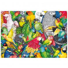 500 piece puzzle : Parrots