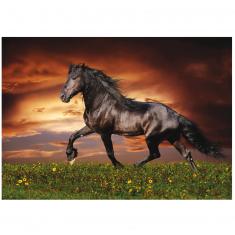 1000 piece puzzle: Trotting Horse