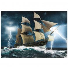 Puzzle 1000 pièces : Tempête Parfaite  