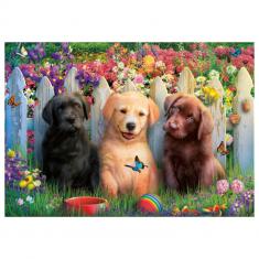 100 piece puzzle: Puppies