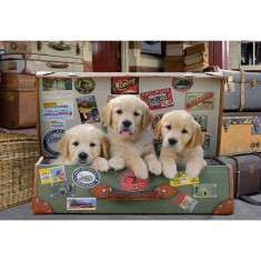 500 piece puzzle: Puppies in luggage