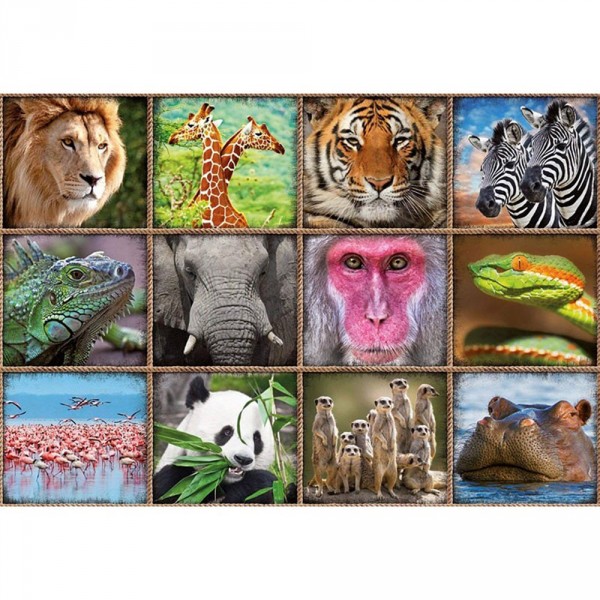 Puzzle 1000 pièces : Collage d'animaux sauvages - Educa-17656