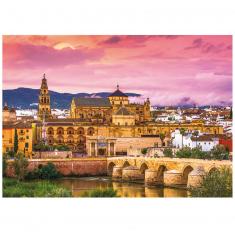 1000 piece puzzle : Cordoba