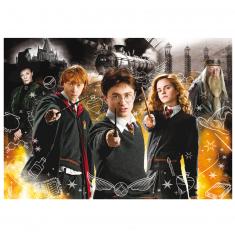 Puzzle de 1000 piezas: Neón: Harry Potter