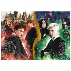 1000 piece jigsaw puzzle: Neon: Harry Potter