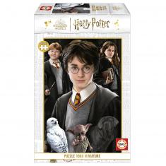 Puzzle 1000 pièces mini : Harry Potter 
