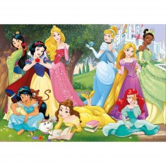500 pieces puzzle: Disney princesses