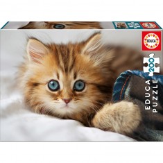 200 piece puzzle: Kitten