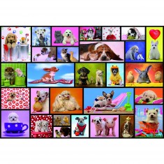 Puzzle 1000 pièces : Moments partagés
