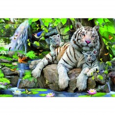 Puzzle 1000 pièces - Tigres blancs du Bengale