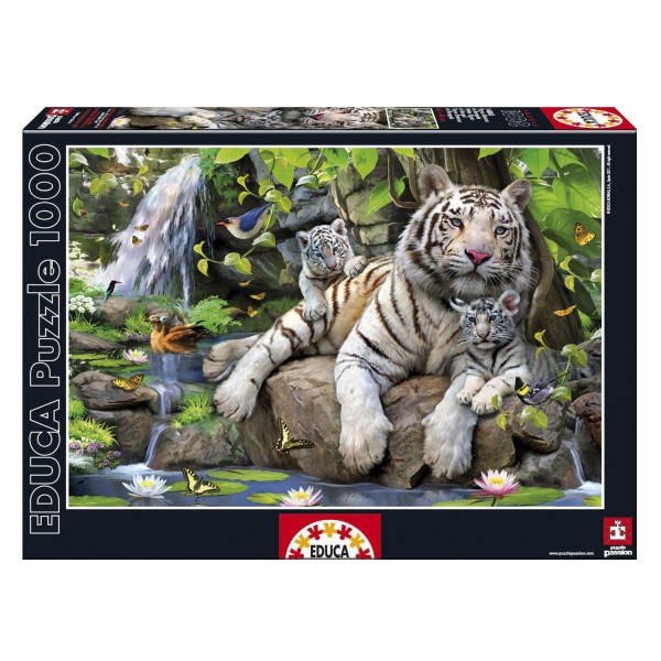Puzzle 1000 pièces - Tigres blancs du Bengale - Educa - Rue des Puzzles