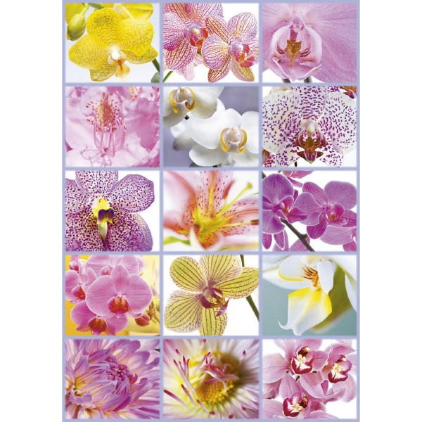 Puzzle 1500 pièces : Collage de fleurs - Educa-16302