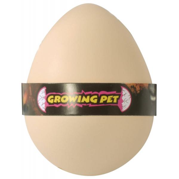 Growing eggs dinosaurs - Eduplay-130219